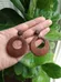 Wood Earrings photo 1