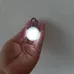 Dog Collar Light photo 2