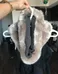 Fur Infinity Scarf photo 2