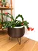 Basket Planter photo 1