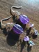New amethyst silver earrings photo 2