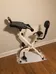 Fit Desk Exercise Bike photo 1