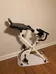Fit Desk Exercise Bike photo 2