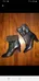 Blondo Boots Size 10. Brand New. Very elegant. photo 2