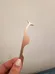 Eyelash Application Tweezers photo 2