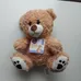 Brand new teddy bear photo 1