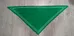 Retro Green Pathfinder Scarf/Bandana photo 1