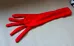 One Red Glove (Halloween Costume) photo 1
