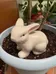 CERAMIC RABBIT  photo 1
