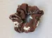 Brand New Brown Floral Scrunchie photo 1