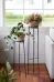 Plant Stands photo 2