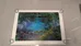 Claude Monet Print - The Duck Pond photo 2