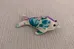 Small Stuffed Dolphin Toy photo 1