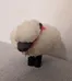 Decorative Sheep  photo 2