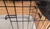 Dog Crate with Bed & Cover  & Food/Water Bowl Holders photo 3