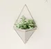 *pending* Umbra wall planter  photo 3