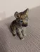 Adorable Dog Figurine photo 1