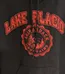 Fruit of the Loom Lake Placid Hoodie - Size Large photo 2