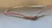 Pink Leather Belt Youth Size 15 photo 1