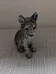 Wolf Pup Figurine photo 1