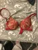 Bras (scroll)  photo 3