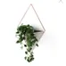 *pending* Umbra wall planter  photo 1