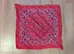 Red Bandana  photo 1