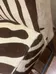 Zebra Chairs photo 3