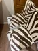 Zebra Chairs photo 2