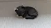 Sleeping Black Cat Figurine photo 1