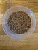 Dill, Celery Seed, Caraway Seeds photo 3