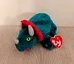 Ty Beanie Baby Hornsby Triceratops photo 2