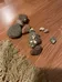 🆓 Rocks from Bay of Fundy photo 1