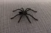 Black Plastic Spider Halloween Decoration photo 1