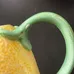 LEMON PITCHER photo 6