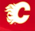 Anything Calgary Flames photo 1