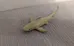 White Shark Toy photo 1