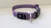 PcEoTllar LED Dog Collar Rechargeable Light Up Dog - Size Large photo 1
