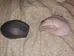 Bluetooth mouses photo 1