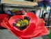 Large scale FLOWERS on weighted bases photo 3