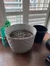 Planters, Soil, and Perlite combo! photo 1