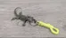 Lizard Keychain photo 1