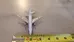 Japan Air Lines Diecast Airplane Model photo 3
