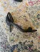 Steve Madden Heels photo 3