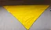 Brand New Yellow Bandana photo 2