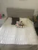 FULL BED FRAME AND MATTRESS  photo 1