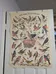 French bird poster photo 1