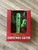 BN Mini Christmas Cactus  photo 1