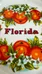  Vintage Florida plate photo 2