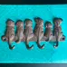 Cast Iron Puppy Hooks photo 1